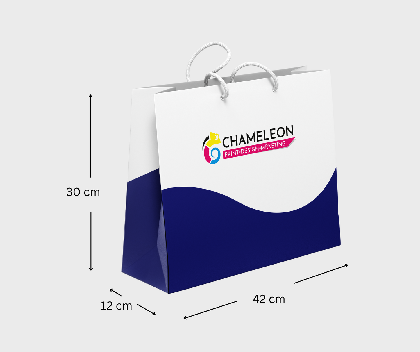 Papiertragetaschen 42 x 30 x 12 cm